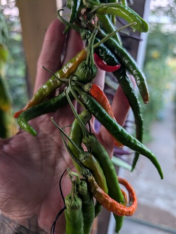 PXL_20250914_015932891