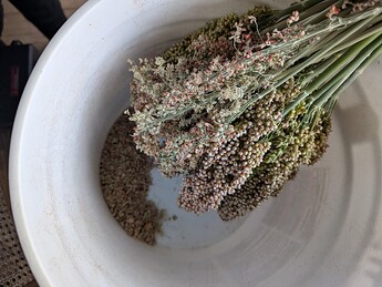 PXL_20251001_204458319