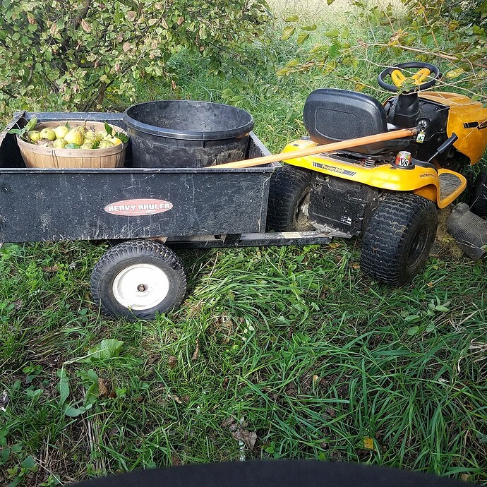 980c5932460183cdb6b24a1b768c7b3956000396_2_1380x1380