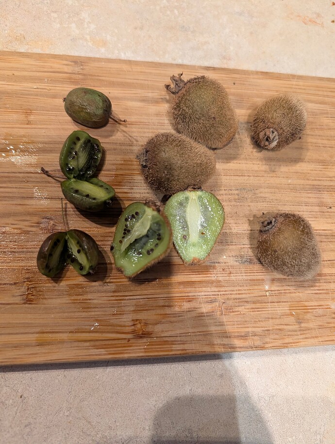 PXL_20251105_121858237