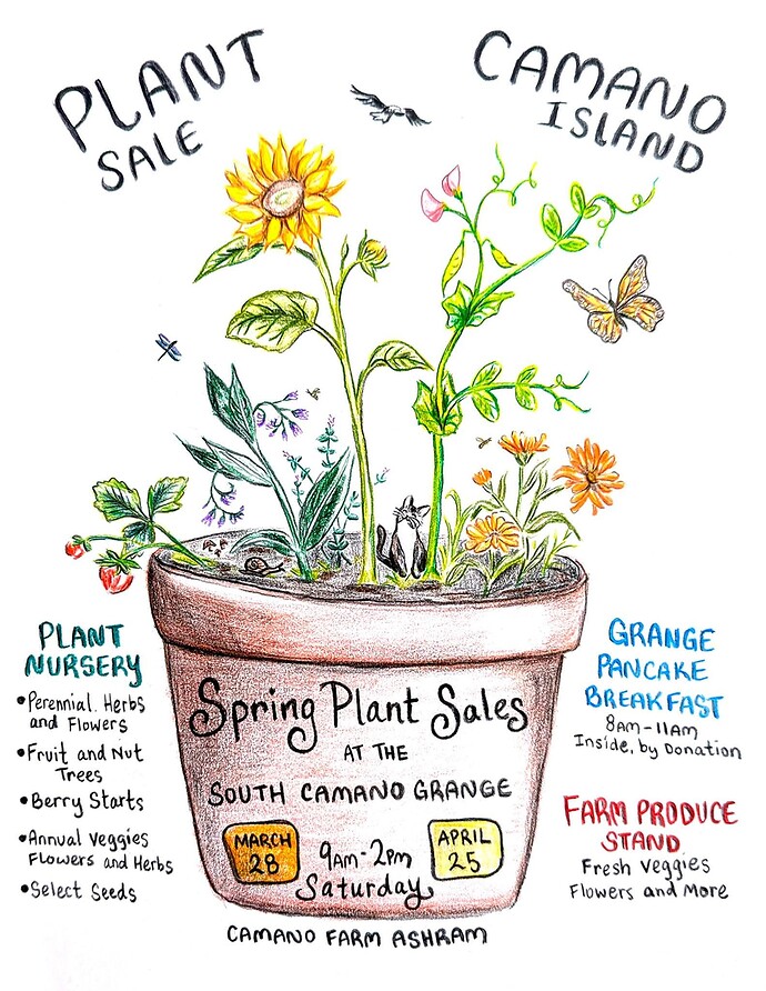 FB_IMG_1776794443961