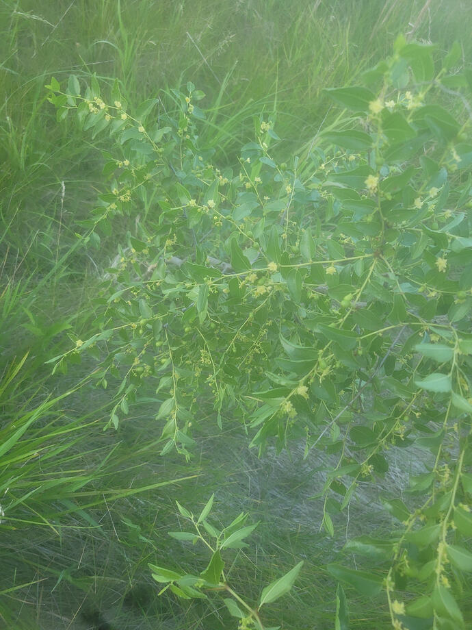 20260614_203034