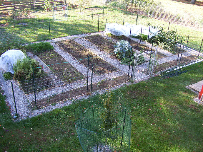 old garden