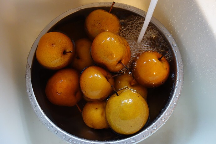 Korean Giant 11.2.25 (6)