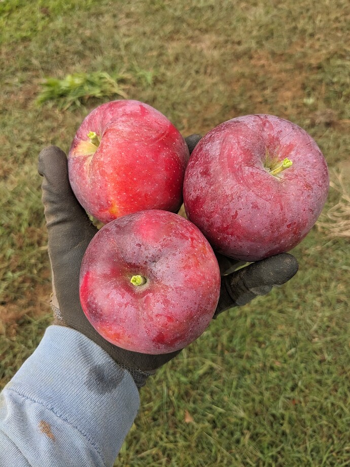 PXL_20250817_221619399