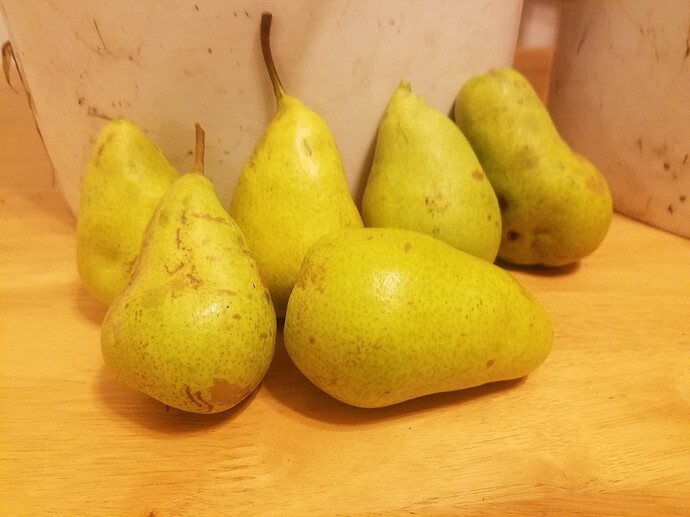 f5b8703f585e58c3b021f37c04e67f579e8ae51c_2_1380x1034