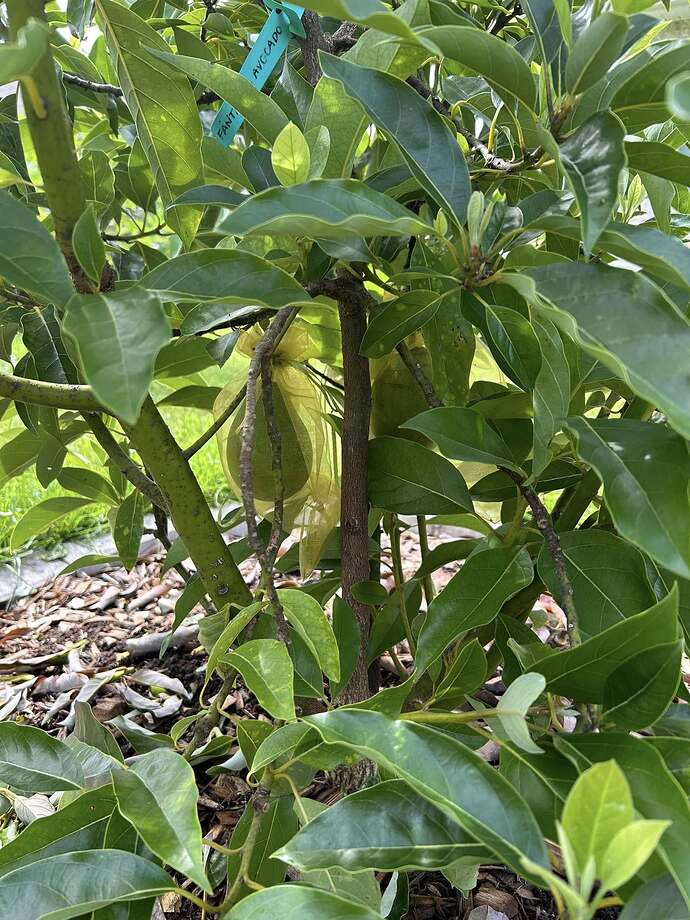 539476831_10237046026632174_8064062910961605063_n