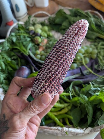 PXL_20250812_233336168