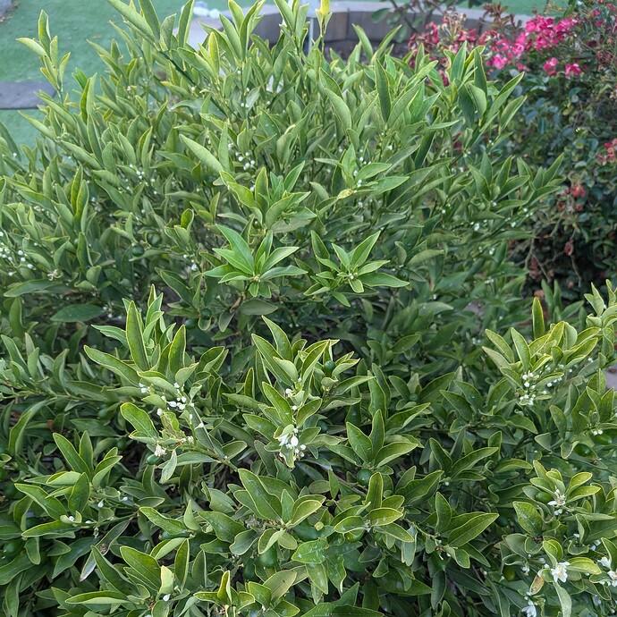 PXL_20250821_020606293