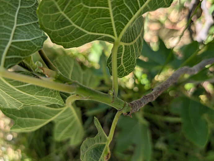 PXL_20260613_220705492