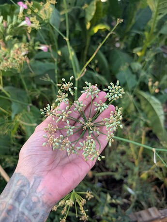 PXL_20250908_003700342