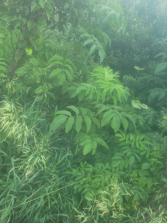 20260606_073217