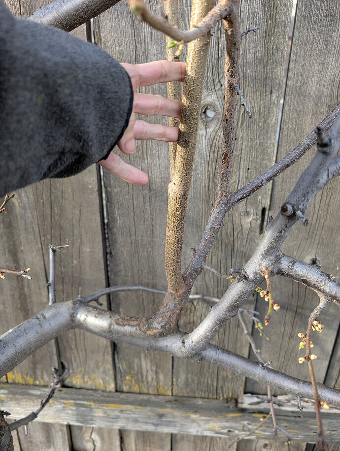 PXL_20260330_003558215