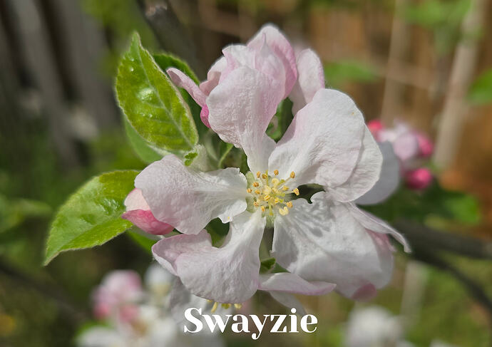 20260410_140324 (2026-04-11T13_49_27.119)