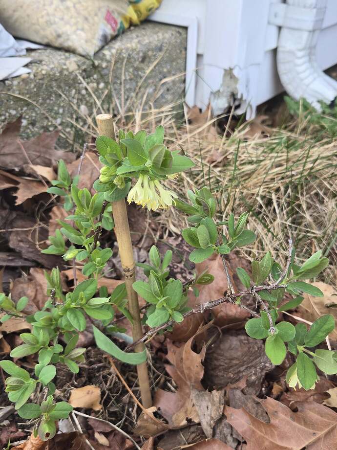 488366651_10231445639819077_4243057150570202586_n