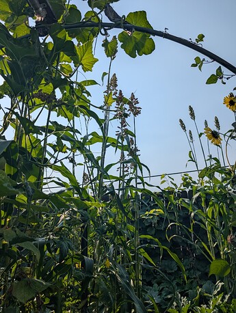 PXL_20250912_220924690