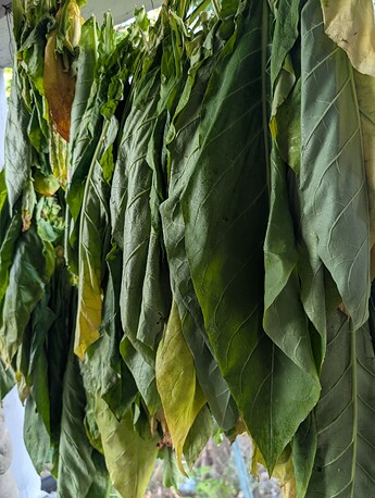 PXL_20250911_192424853