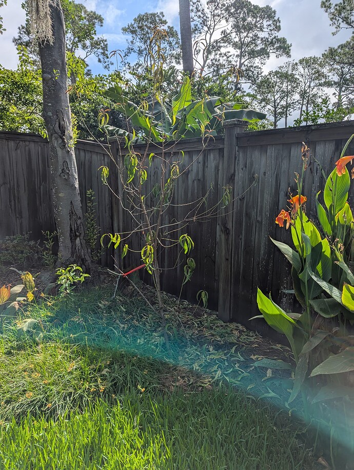 PXL_20250824_142550071