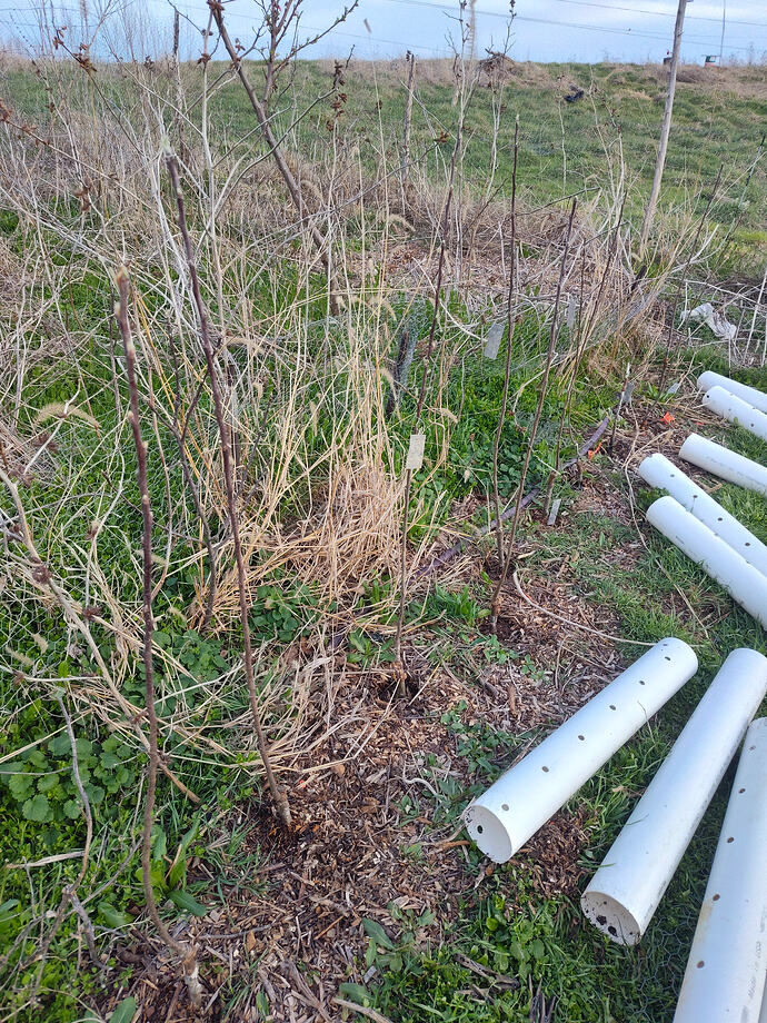 IMG_20260324_184938457_HDR