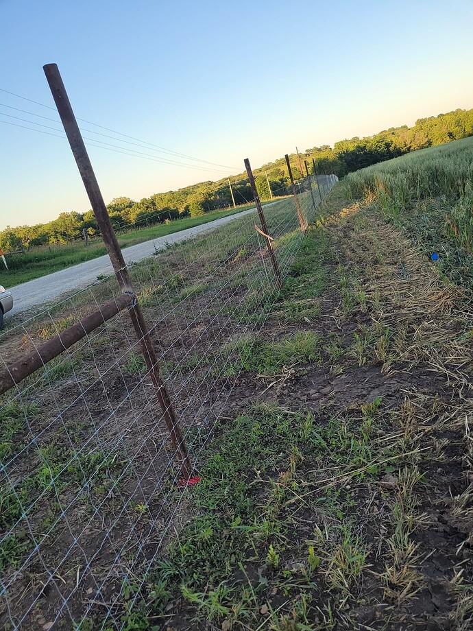 23b0eeef5a9b9a9318f9aec69e90753cf0b0c675_2_1380x1840