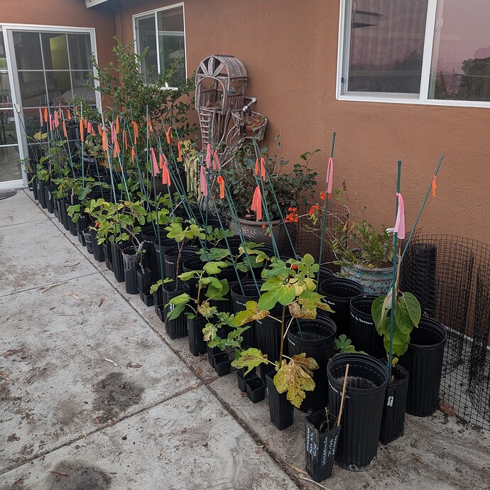 PXL_20250828_021038651