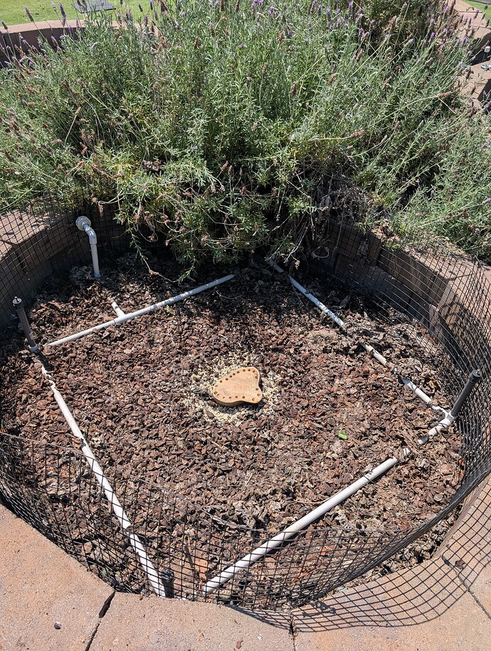 PXL_20250716_214751989