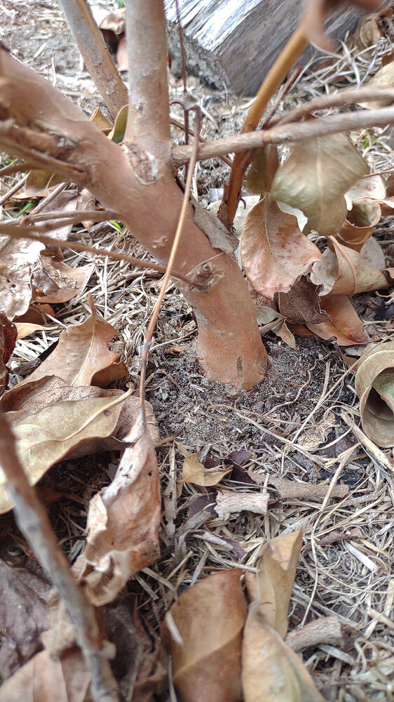 IMG_20260211_133014605