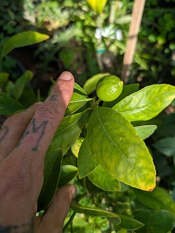 PXL_20250814_232654740