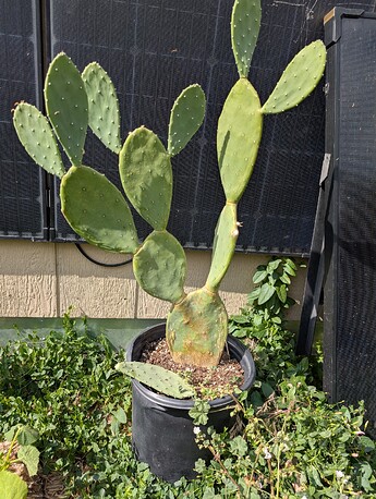 PXL_20250624_230842923