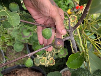 PXL_20250806_194538756