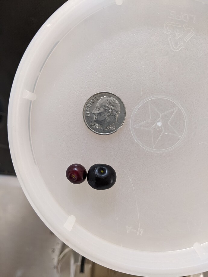 PXL_20250621_222536161