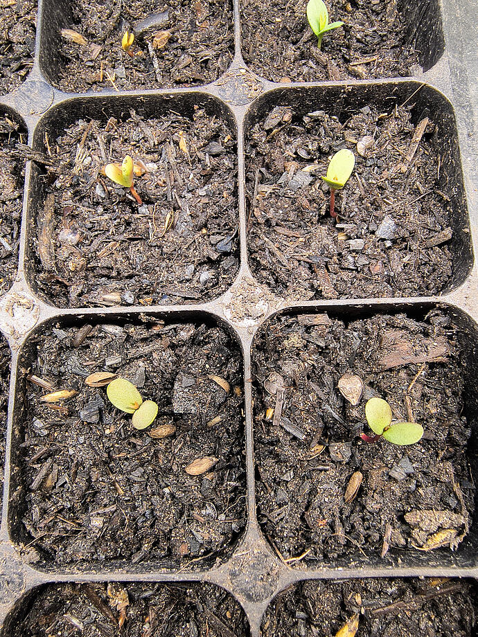 IMG_20260408_191641902_HDR