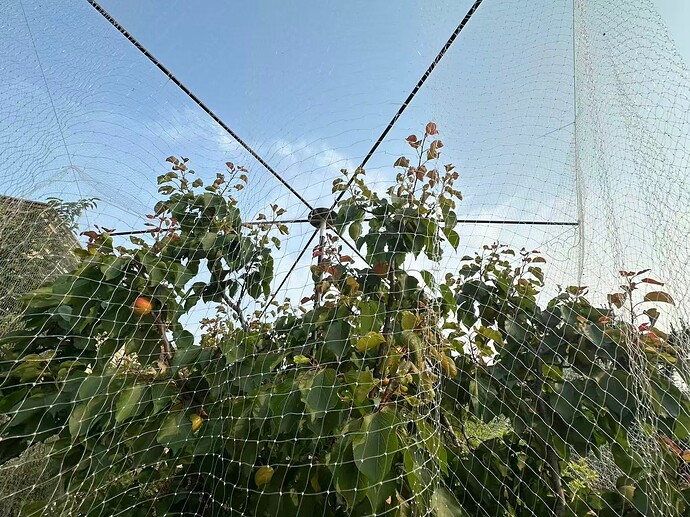 b1df165afa5dc5f09ebe46c5465abbdd (1)