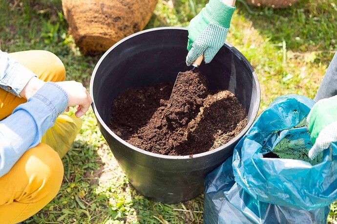 potting mix for mandarin trees