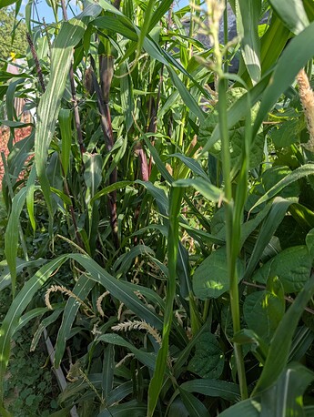 PXL_20250814_233929051