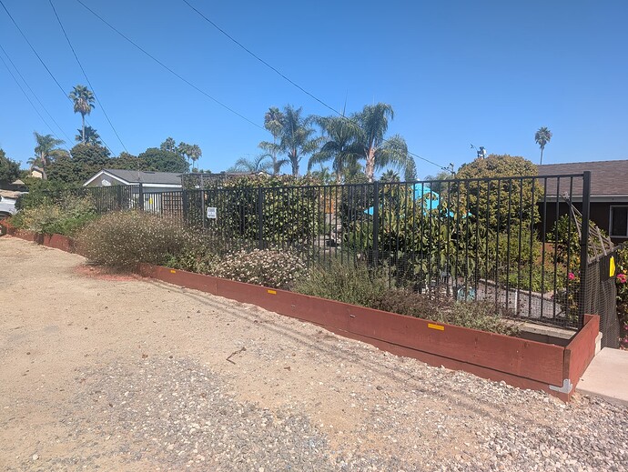 PXL_20251011_202414420