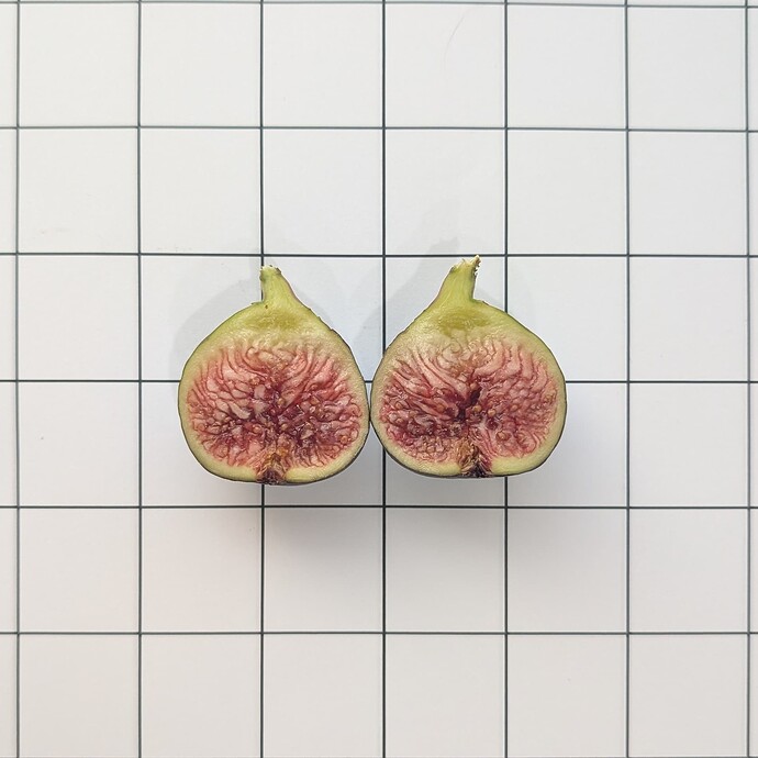 PXL_20250924_222848770