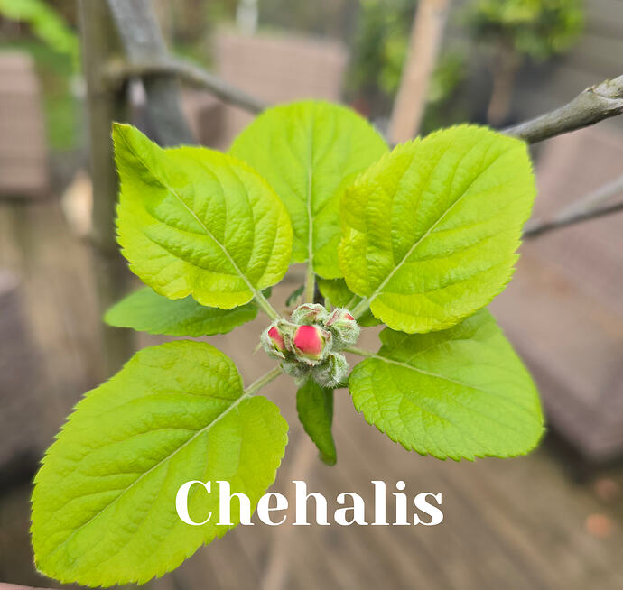 20260402_104141 (2026-04-04T14_30_26.050)