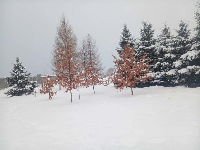 17686858294575053379493733731314