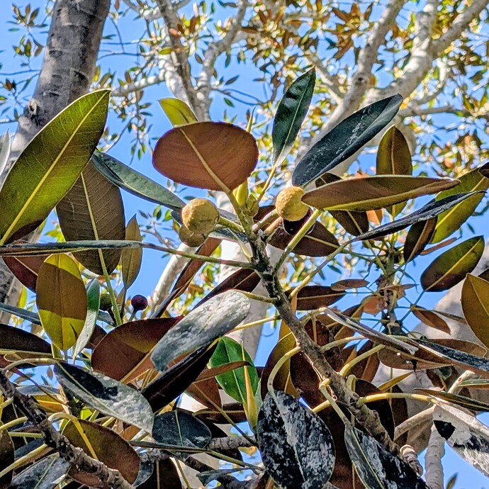 PXL_20251022_202457405~2