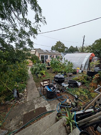 PXL_20251002_161042514