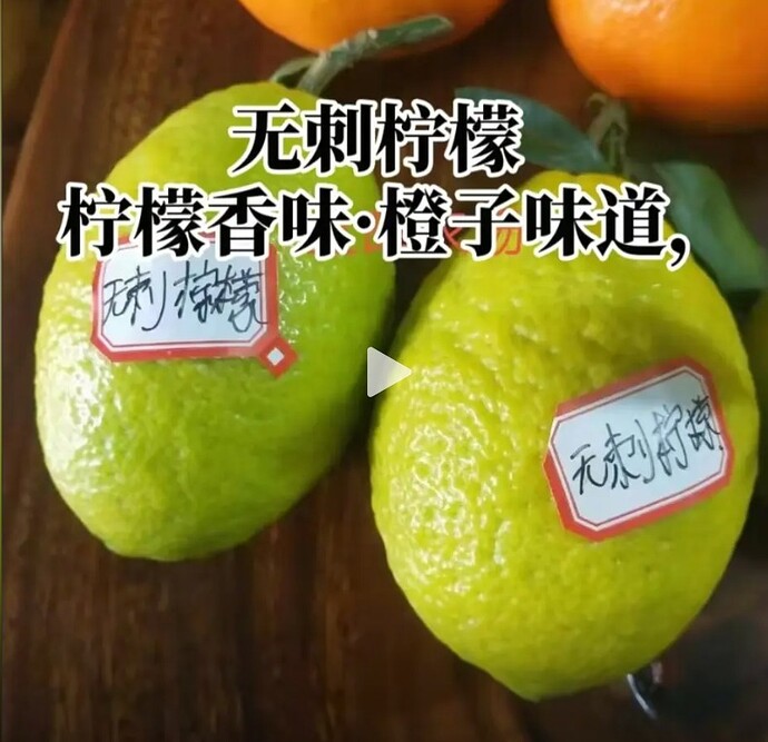 WhatsApp Image 2026-01-16 at 14.01.24