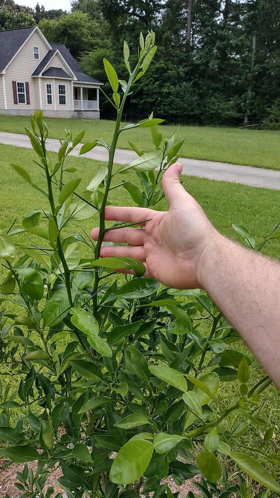 IMG_20250702_120106053_HDR