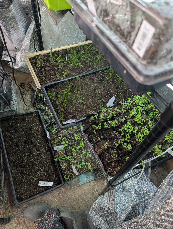 PXL_20260227_005252716