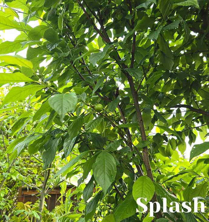 20260422_183704 (2026-04-27T20_23_10.798)