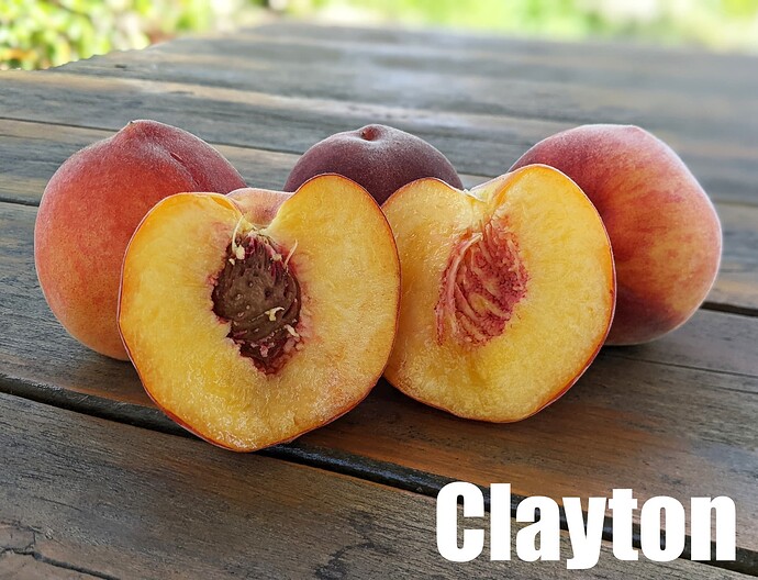 Clayton Peach_2025