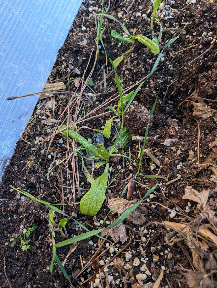 PXL_20260301_004200394