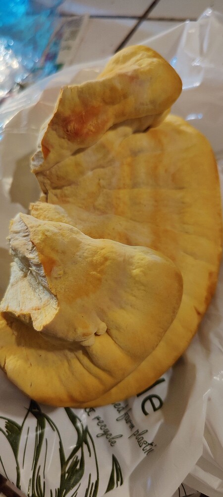 IMG_20251026_1835191