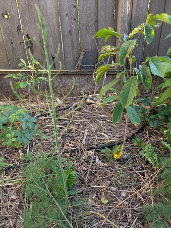 PXL_20250818_011038541