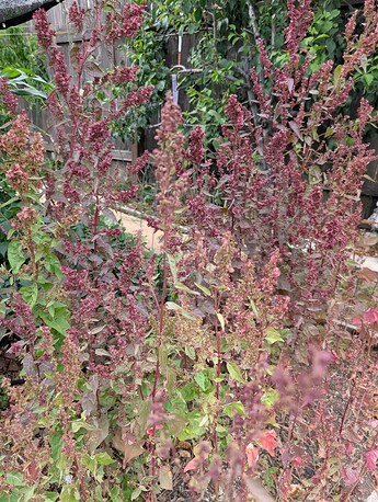 PXL_20250718_232109810